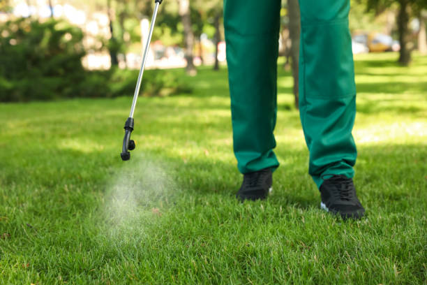 Professional Pest Control in Sardis, MS