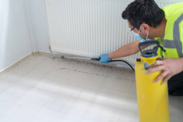 Best Pest Removal Services  in Sardis, MS